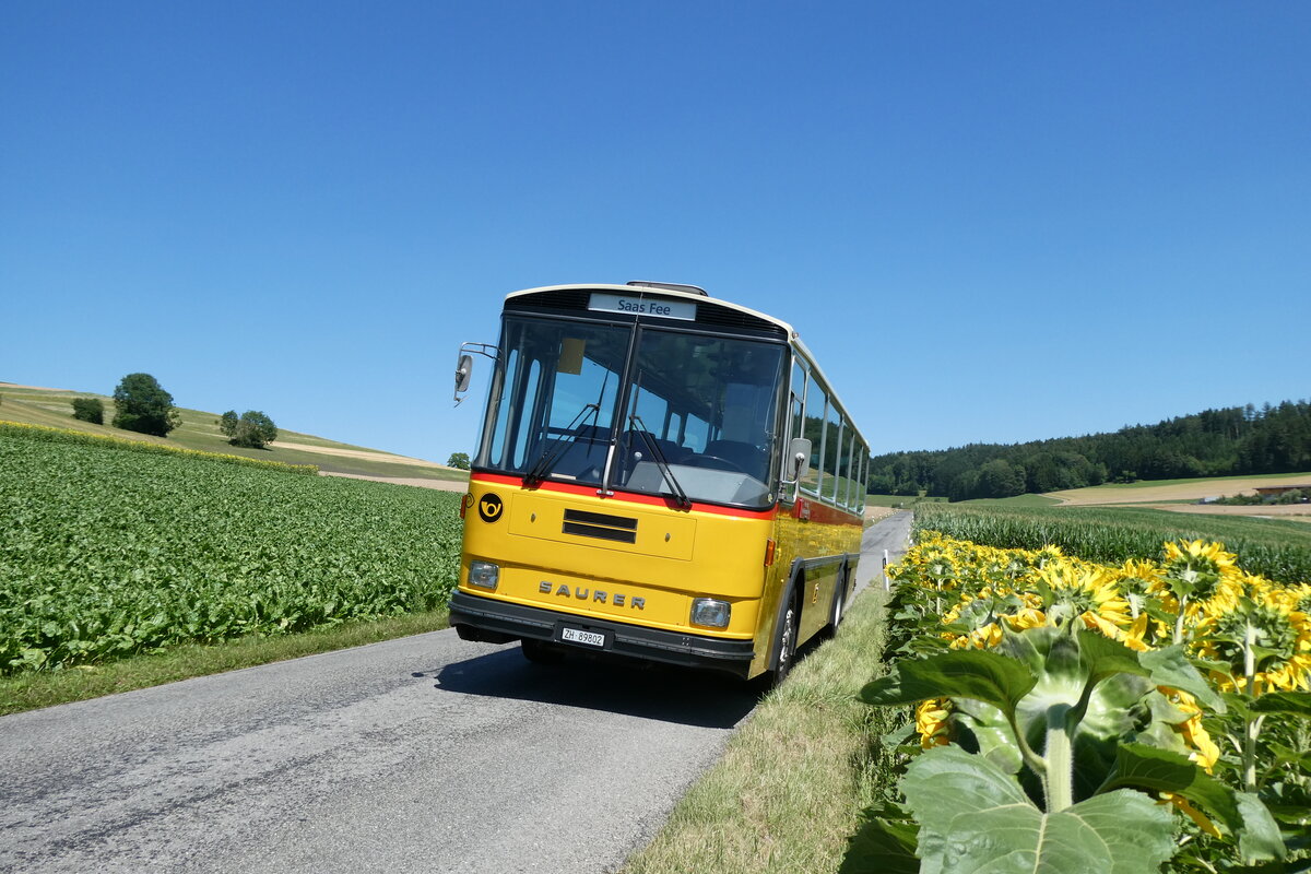 (289'380) - Rupp, Zumikon - ZH 89'802 - Saurer/T�scher (ex Eyer, Gamsen; ex P 24'401) am 4. Juli 2026 in Weisslingen, Theiligerstrasse
