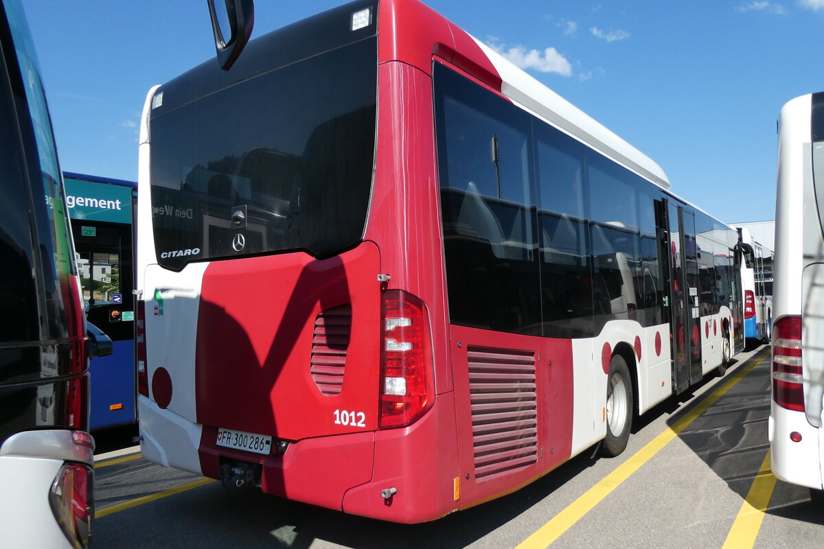 (289'550) - TPF Fribourg - Nr. 1012/FR 300'286 - Mercedes am 11. Juli 2026 in Winterthur, Dainmler Buses