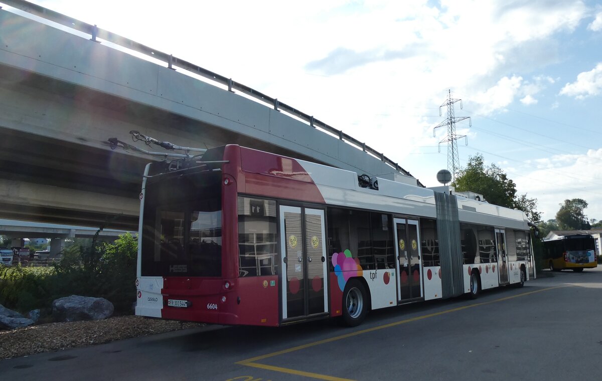(289'662) - TPF Fribourg - Nr. 6604/FR 301'544 - Hess/Hess Gelenktrolleybus am 18. Juli 2026 in Kerzers, Interbus