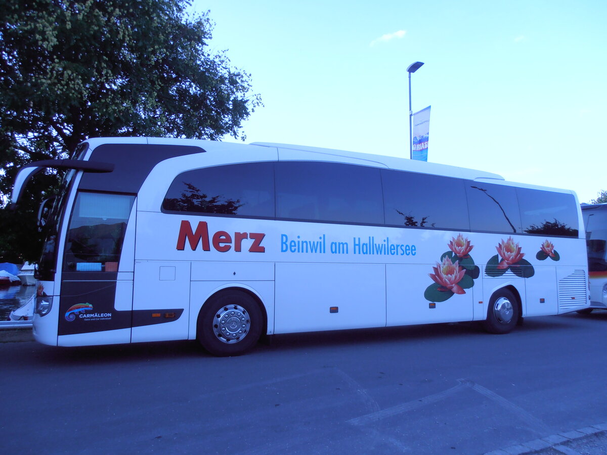 (290'199) - Merz, Beinwil - LU 16'216 - Mercedes am 8. August 2026 in Thun, Strandbad