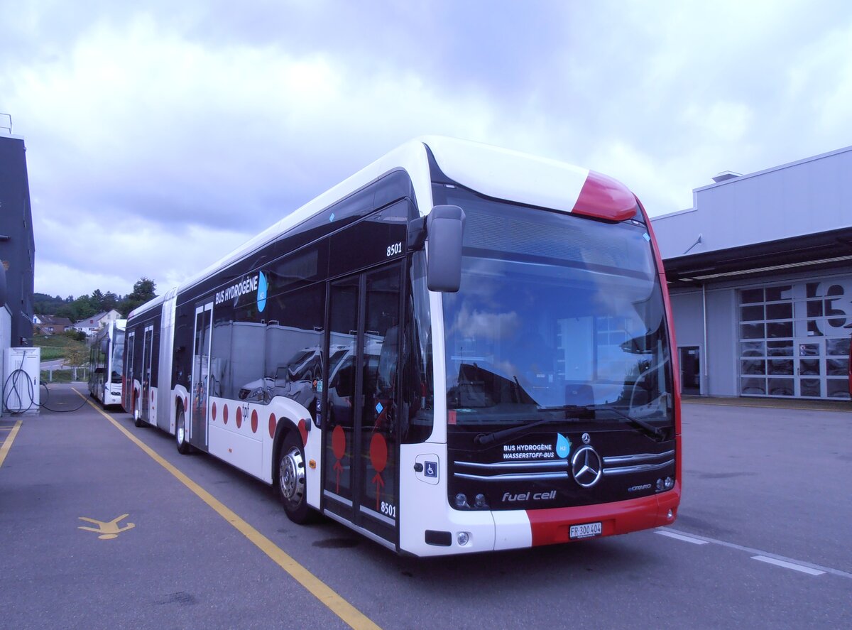(290'386) - TPF Fribourg - Nr. 8501/FR 300'404 - eMercedes am 22. August 2026 in Winterthur, Daimler Buses