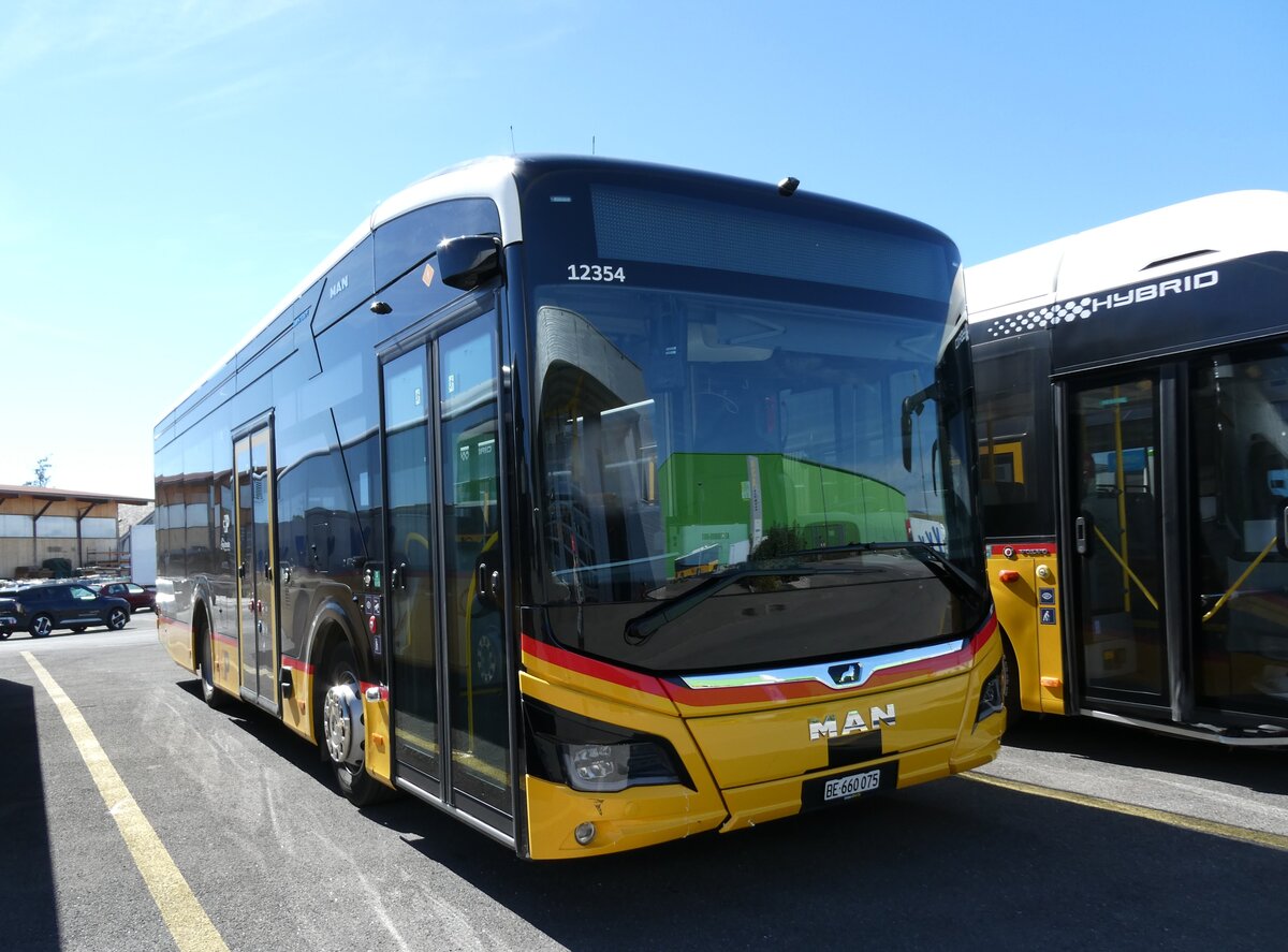 (290'952) - PostAuto Bern - BE 660'075/PID 12'354 - eMAN am 19. September 2026 in Kerzers, Interbus