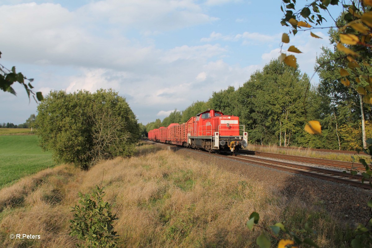 294 599-4 mit der �bergabe 56960 Marktredwitz - Wiesau bei sch�nfeld. 26.09.13