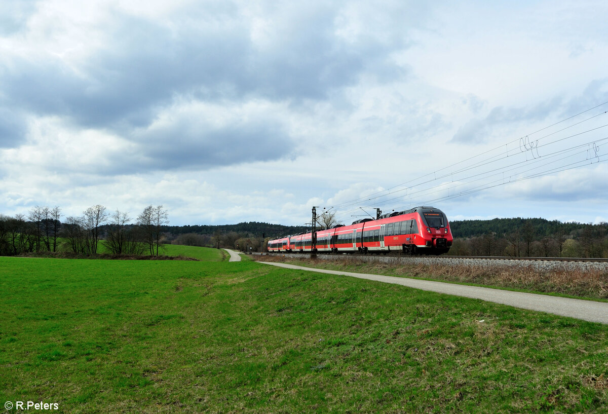 442 310 als S1 39167 Forchheim Bamberg - Neumarkt/Oberpfalz bei P�lling. 17.03.24