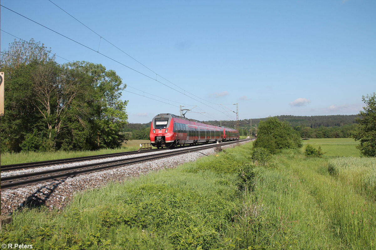 442 723 als S1 Forchheim - Neumarkt/Oberpfalz bei Pölling. 20.05.24