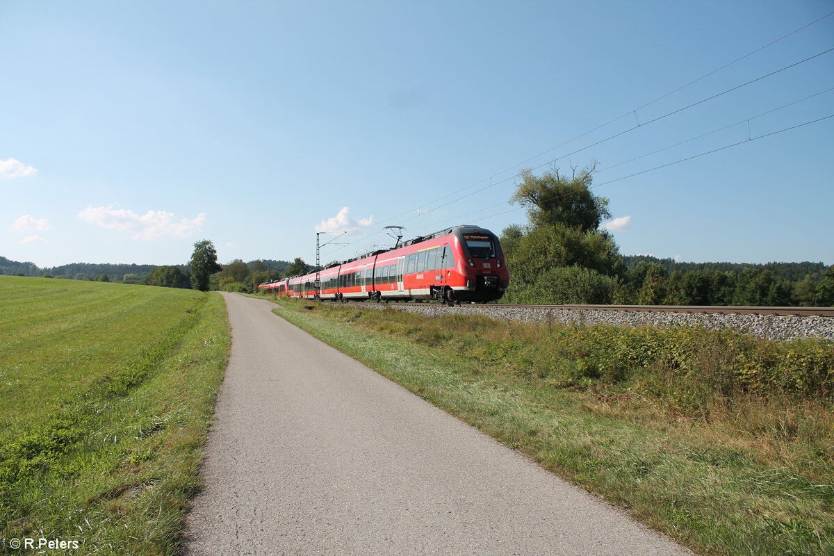 442 806 als S1 nach Neumarkt/Oberpfalz bei Pölling. 28.08.24