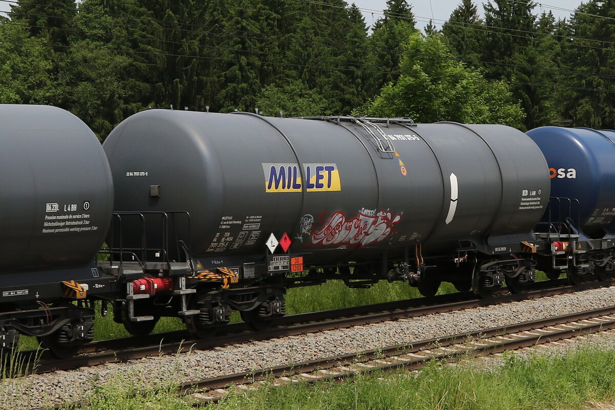 7931 375 (Zacens) von  MILLERT  am 8,. Juni 2021 bei Grabenst�tt.