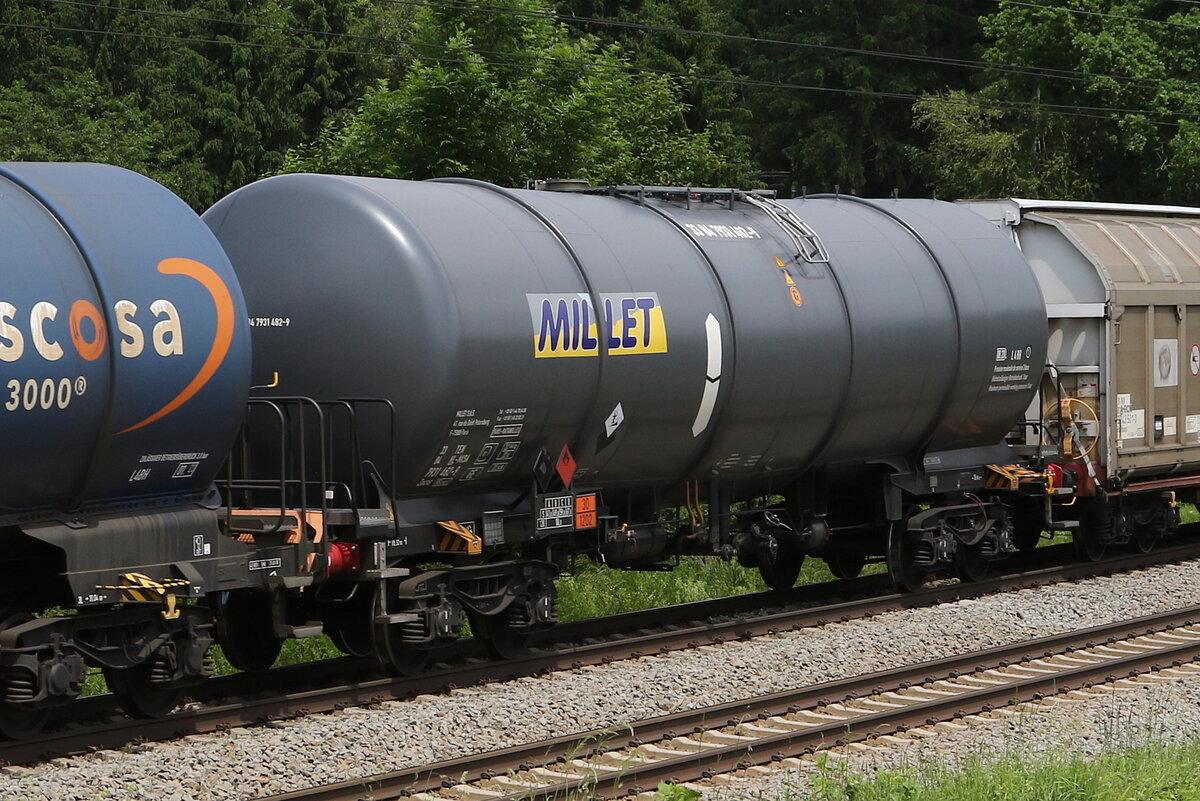 7931 482 (Zacns) von  MILLET   am 10. Juni 2021 bei Grabenst�tt.