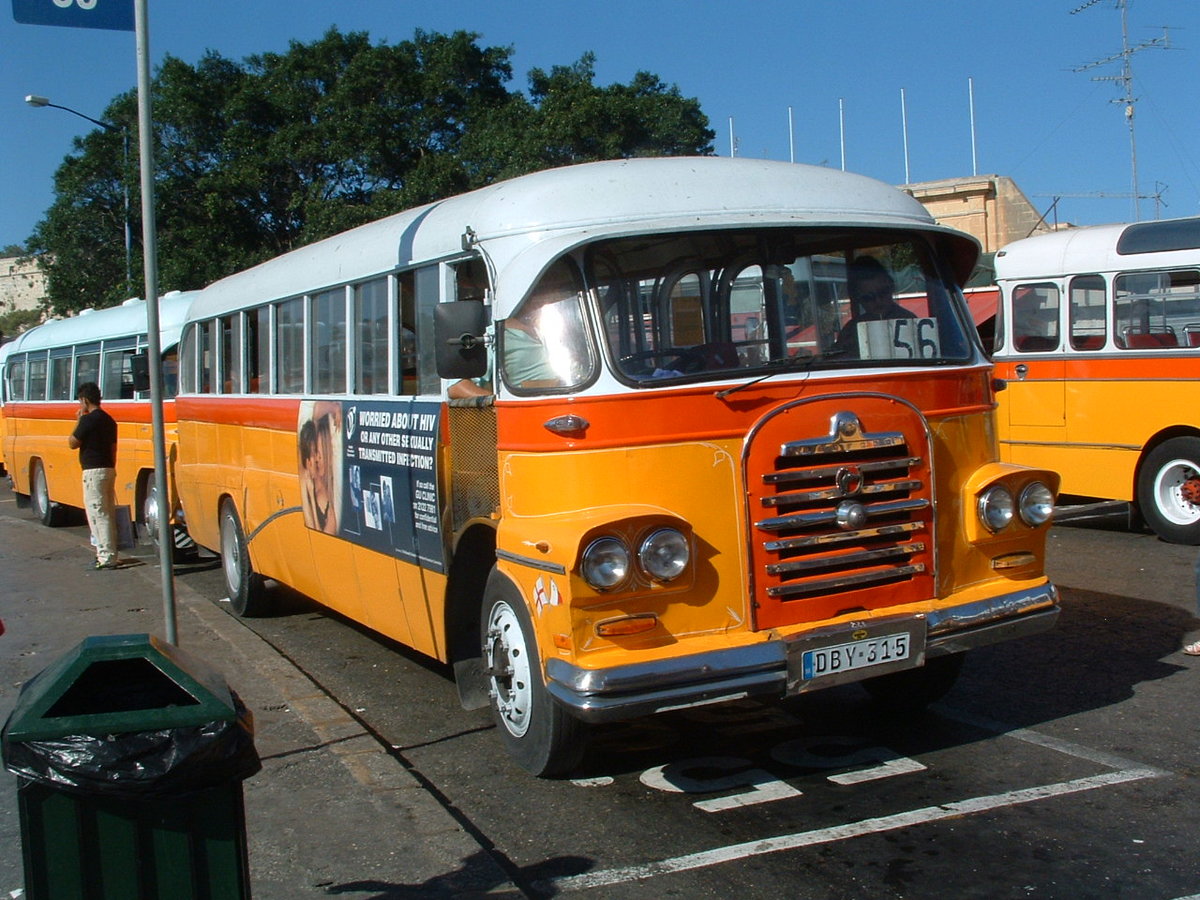 DBY 315 was a 1961 Leyland Comet (truck chassis) rebuilt to forward control and fitted with a Sammut body of 40 seats.  It carried registrations 218, A-0206, Y-1016 & Y-0315 before being replaced by a newer vehicle.

