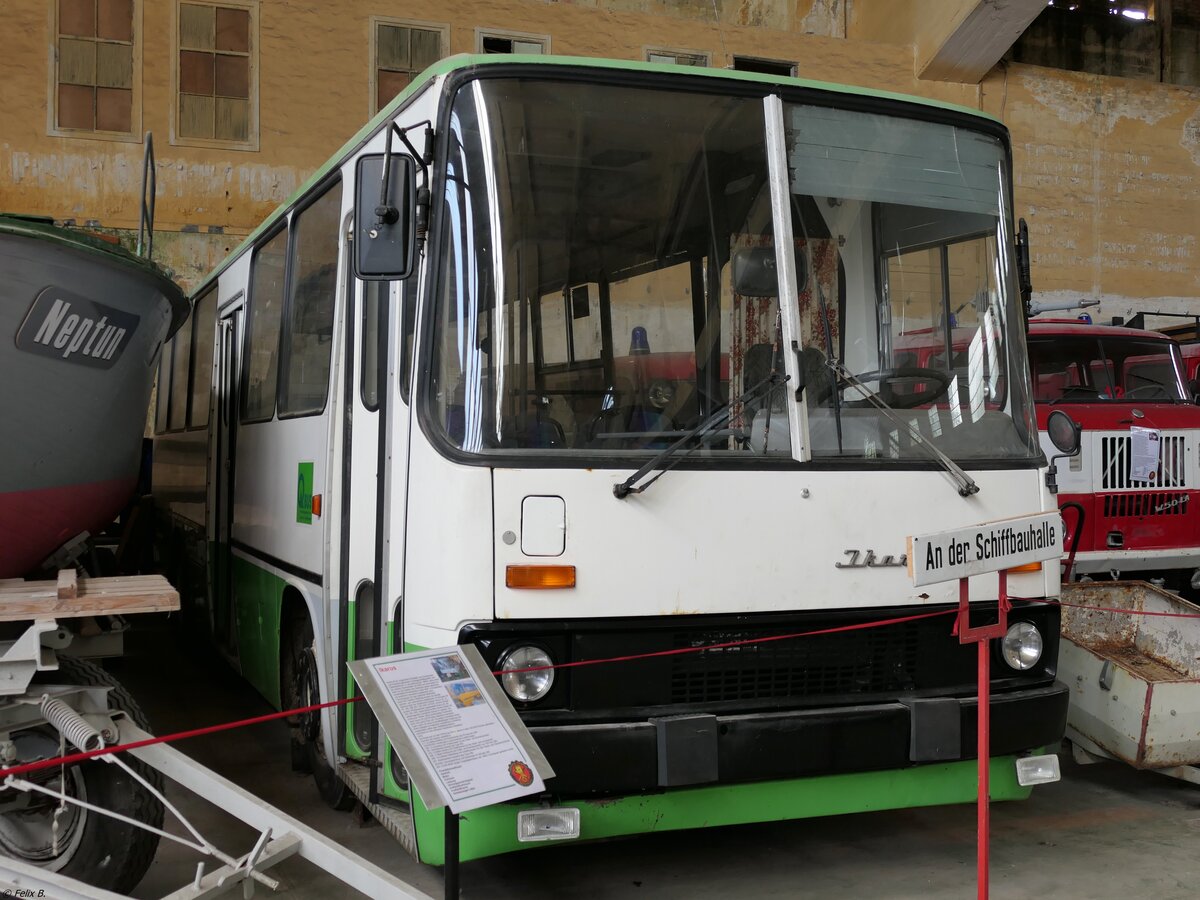 Ikarus 260 (exex Kraftverkehr Halle (Saale) - VG 64-74, ex Q-Bus Nahverkehrsgesellschaft mbH Ballenstedt QLB-NA 27) vom Technikmuseum Pütnitz in Pütnitz.