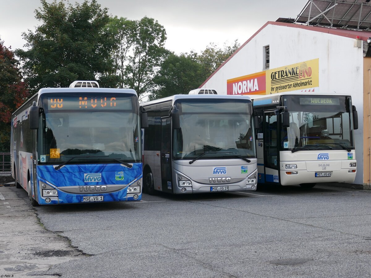 Iveco Crossway und MAN Lion's Classic der MVVG in Woldegk.