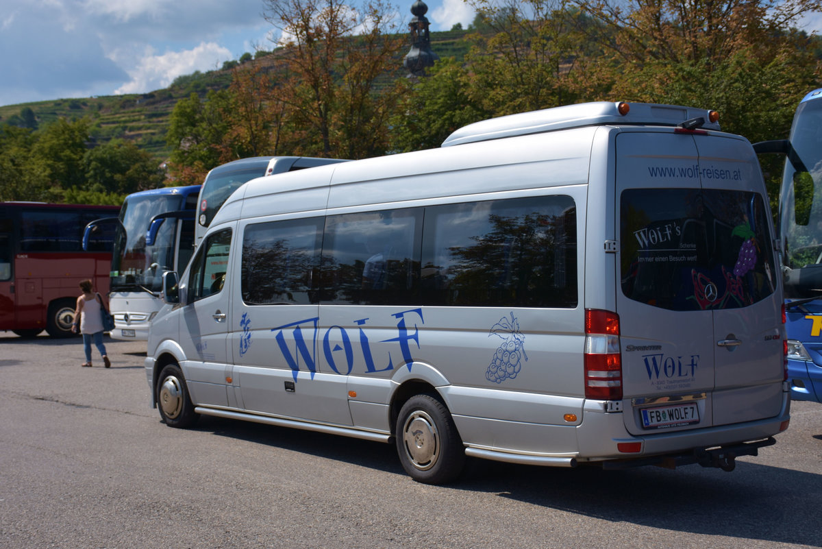 Kleinbus Mercedes Sprinter von Wolf Reisen aus sterreich 2017 in Krems.