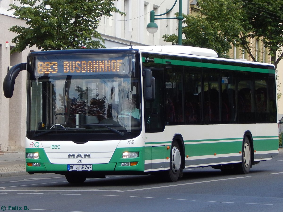 MAN Lion's City der Barnimer Busgesellschaft in Eberswalde.