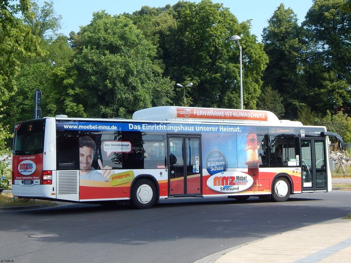 MAN Lion's City CNG der Stadtwerke Greifswald in Greifswald.