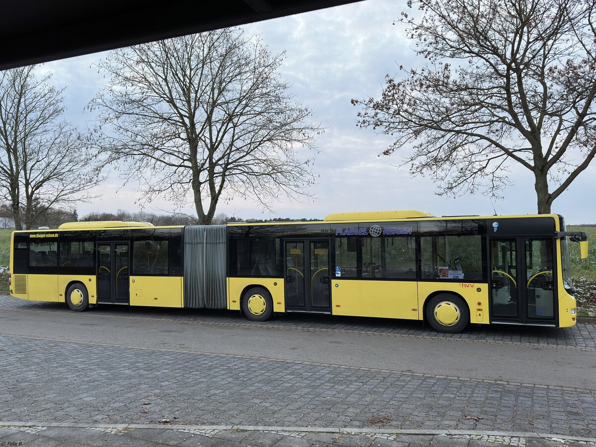MAN Lion's City von Flaegel Reisen aus Deutschland in Malchow.