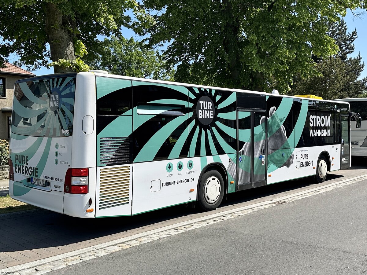 MAN Lion's City der Verkehrsgesellschaft Ludwigslust-Parchim mbH in Plau am See.