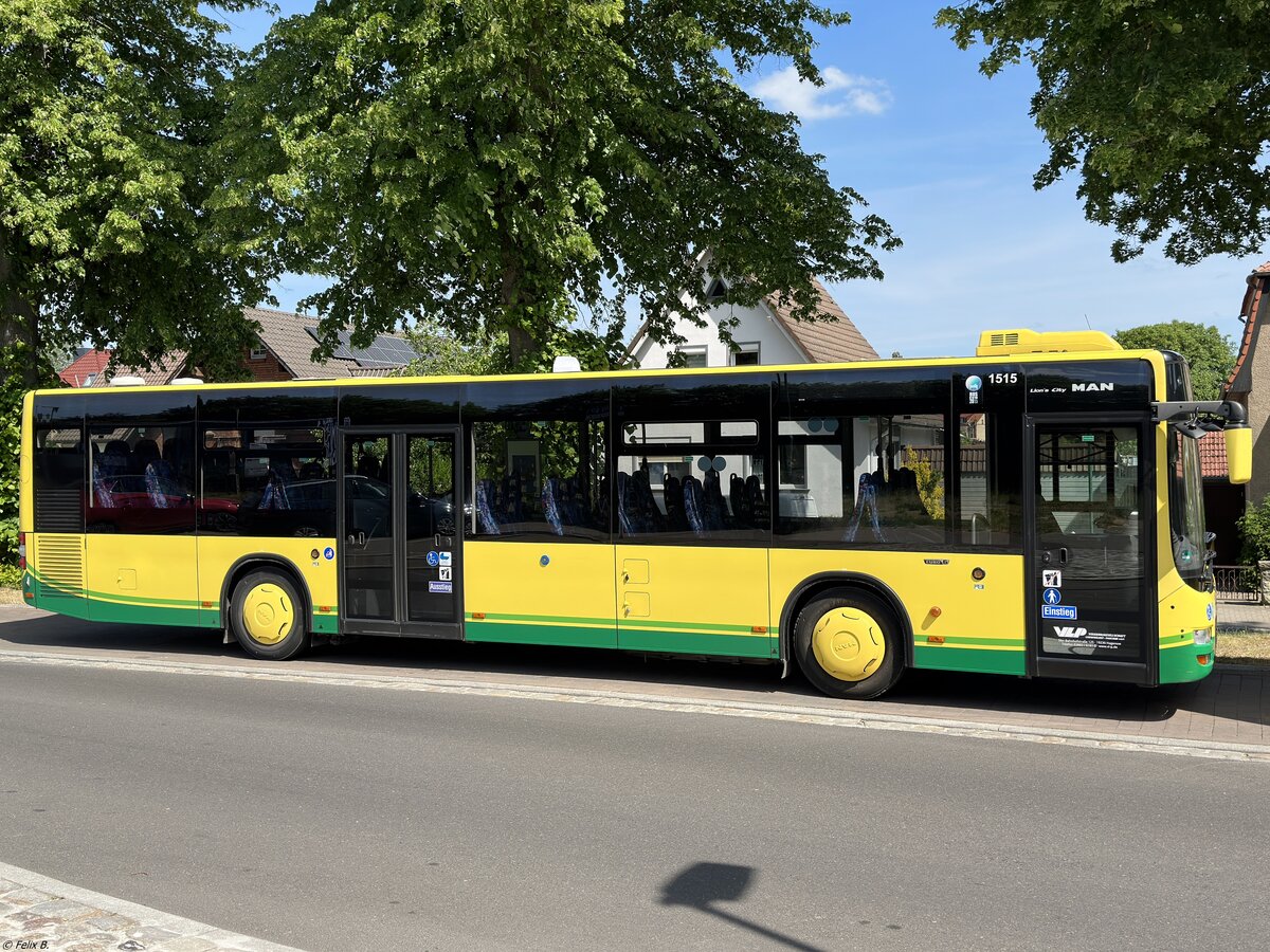 MAN Lion's City der Verkehrsgesellschaft Ludwigslust-Parchim mbH in Plau am See.