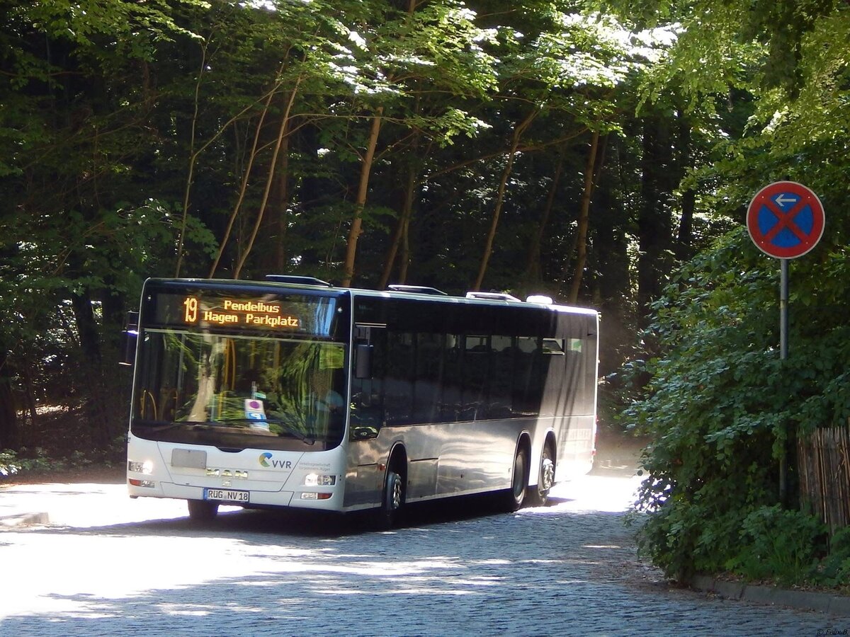 MAN Lion's City der VVR am Königsstuhl.