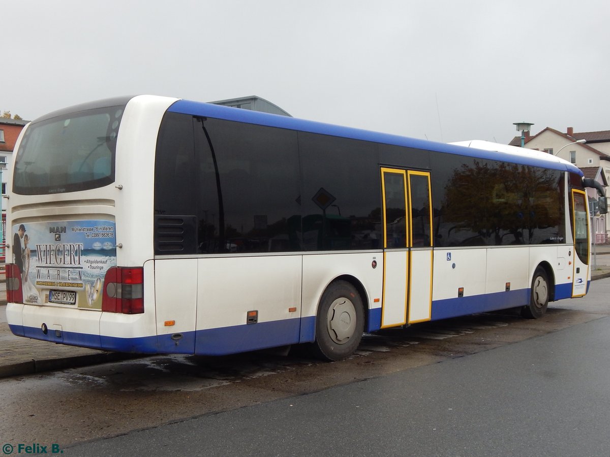 MAN Lion's Regio der PVM Waren in Neubrandenburg.