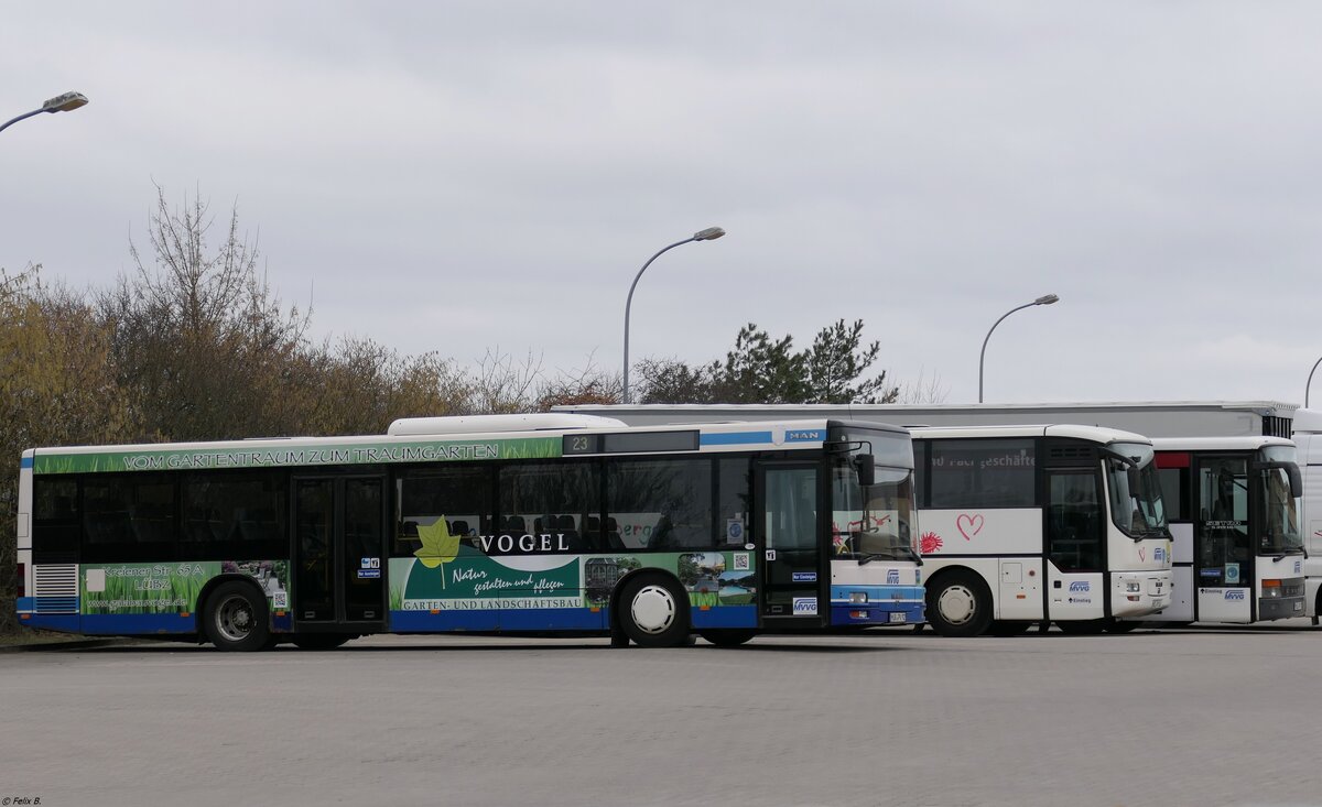 MAN Niederflurbus 2. Generation und MAN ÜL 313 und Setra 319 UL der MVVG in Waren.