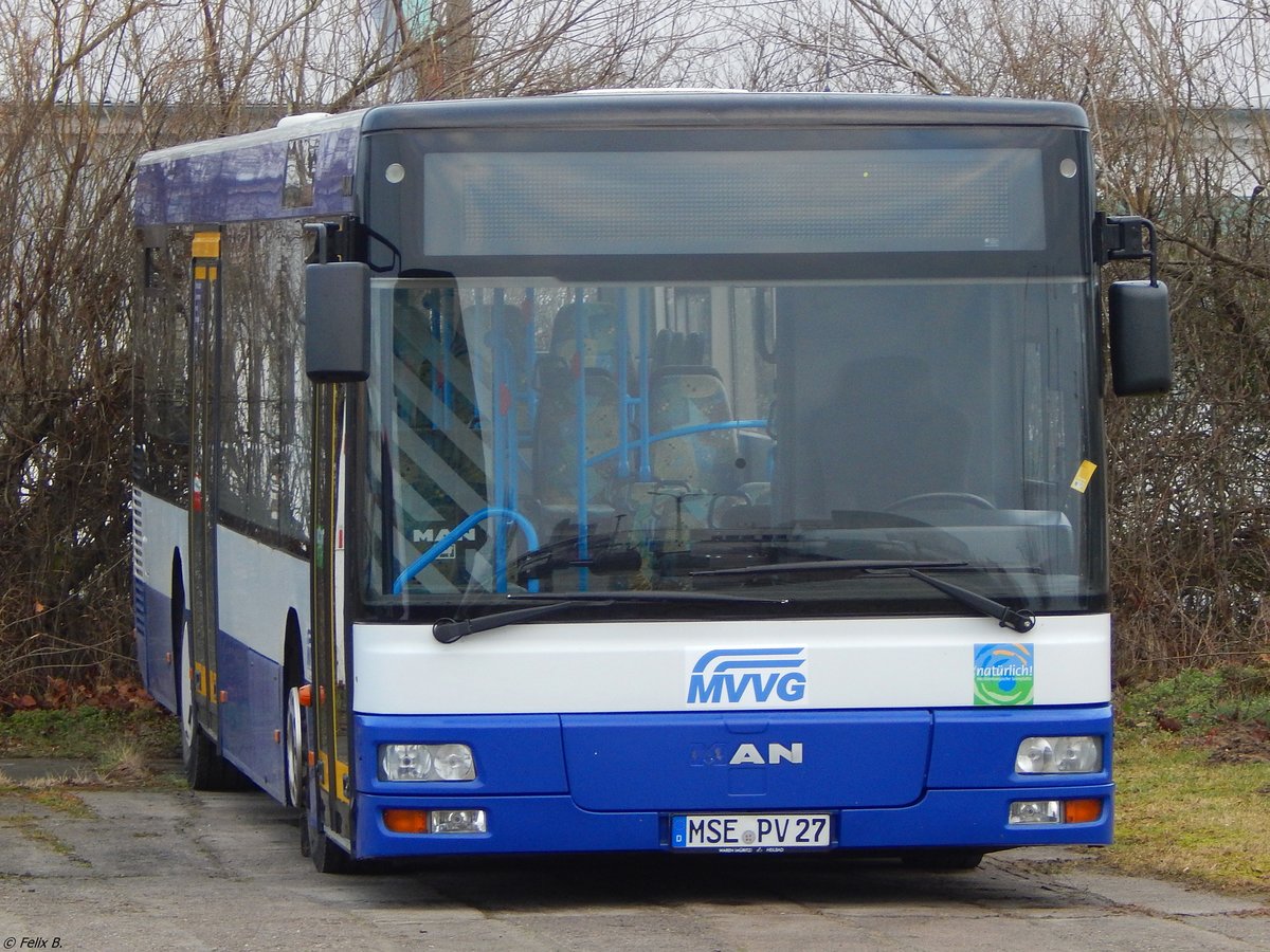 MAN Niederflurbus 2. Generation der MVVG in Neubrandenburg.