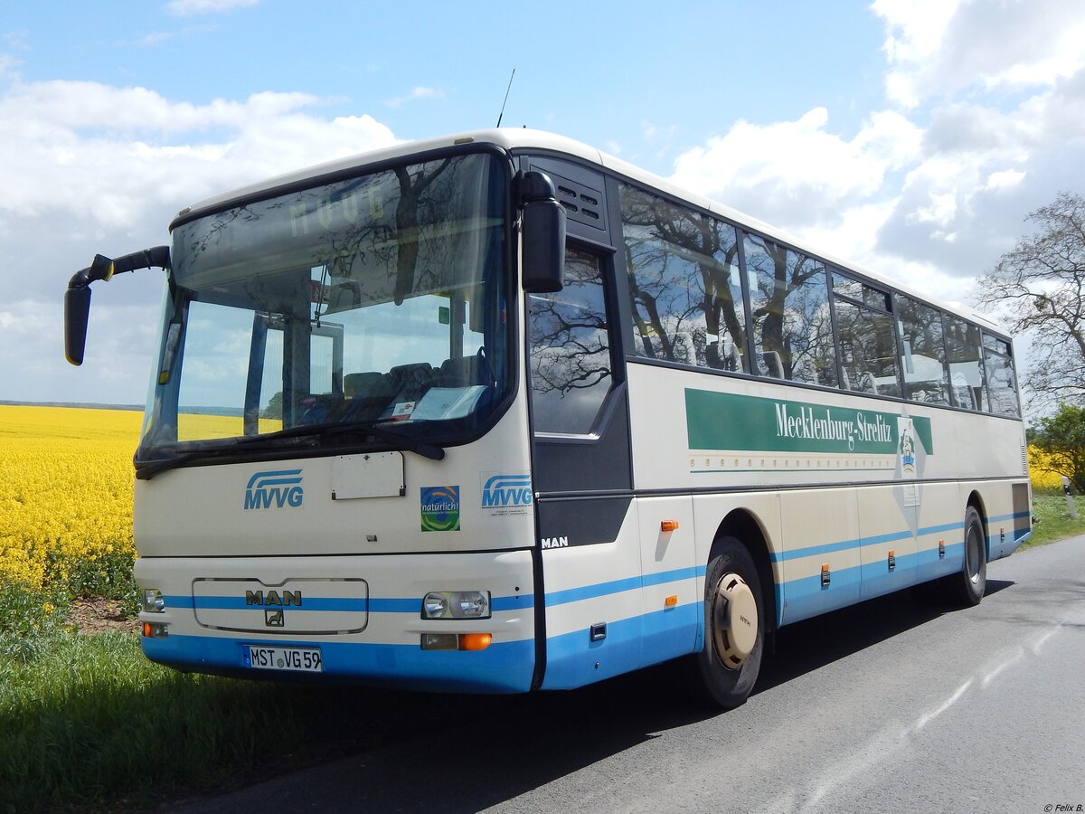 MAN ÜL 313 der MVVG in Neuenkirchen.