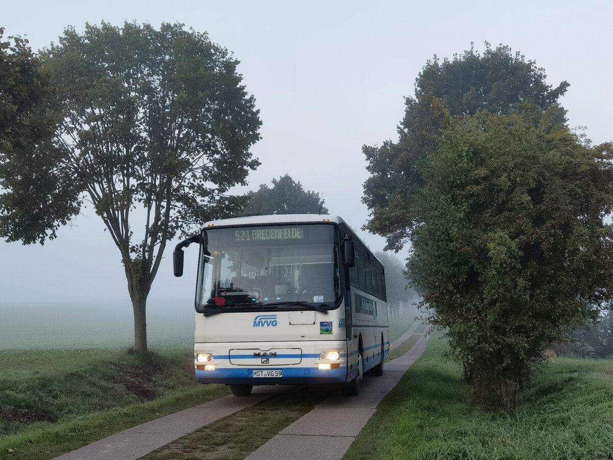 MAN ÜL 313 der MVVG zwischen Loitz und Ballin.