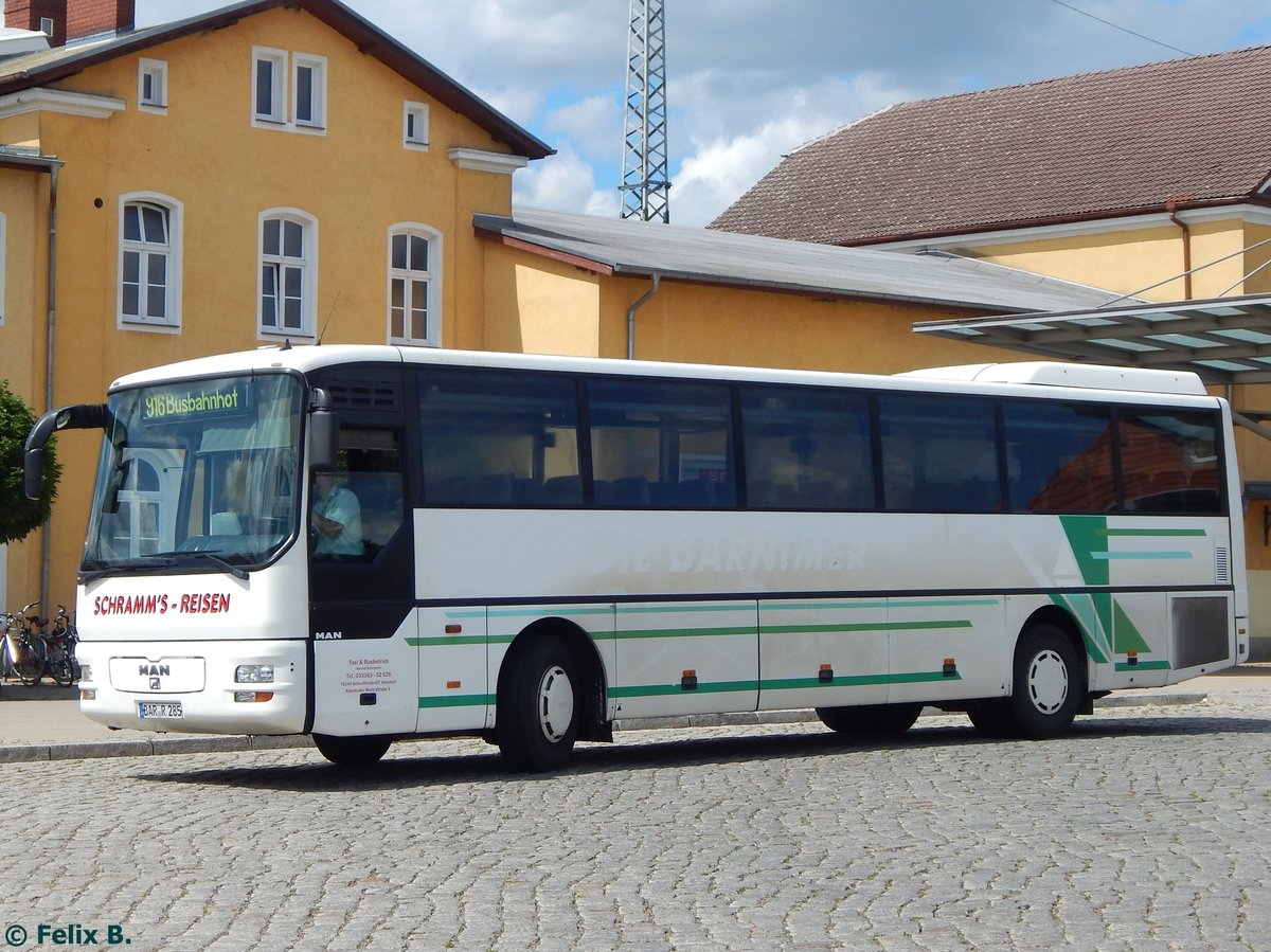 MAN ÜL 313 von Schramm's-Reisen aus Deutschland in Eberswalde.