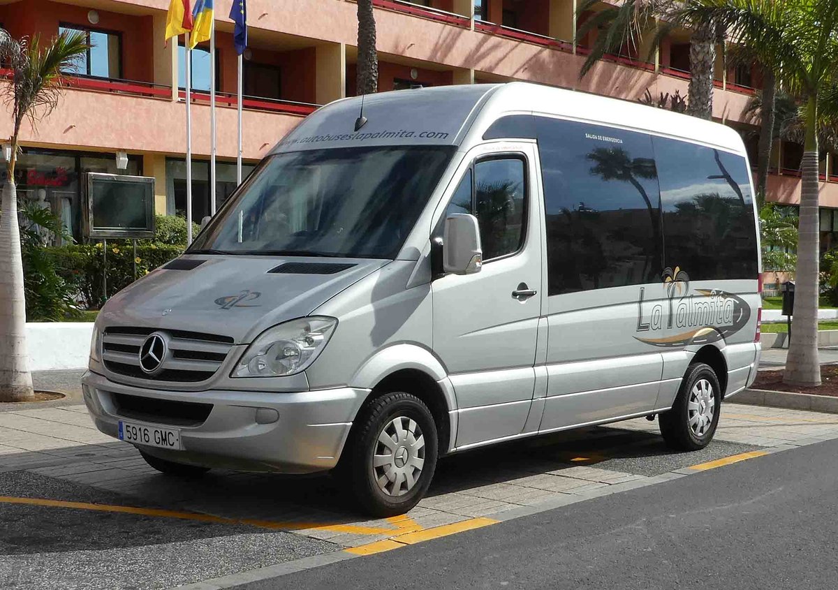 MB Sprinter von  autobuseslapalmita  steht im Playa de las Americas