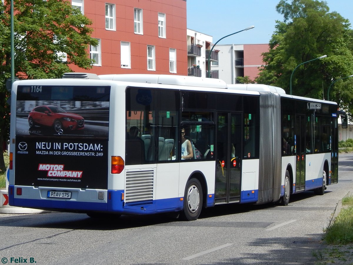 Mercedes Citaro I der Beelitzer Verkehrs- und Servicegesellschaft mbH in Potsdam.