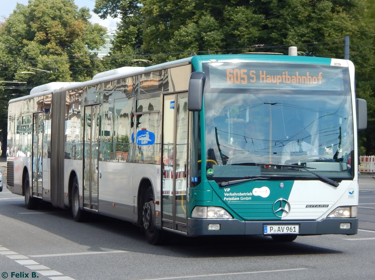 Mercedes Citaro I vom Verkehrsbetrieb Potsdam in Potsdam.