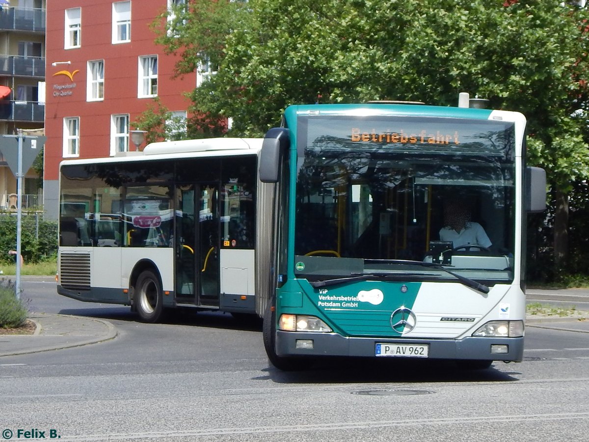 Mercedes Citaro I vom Verkehrsbetrieb Potsdam in Potsdam.