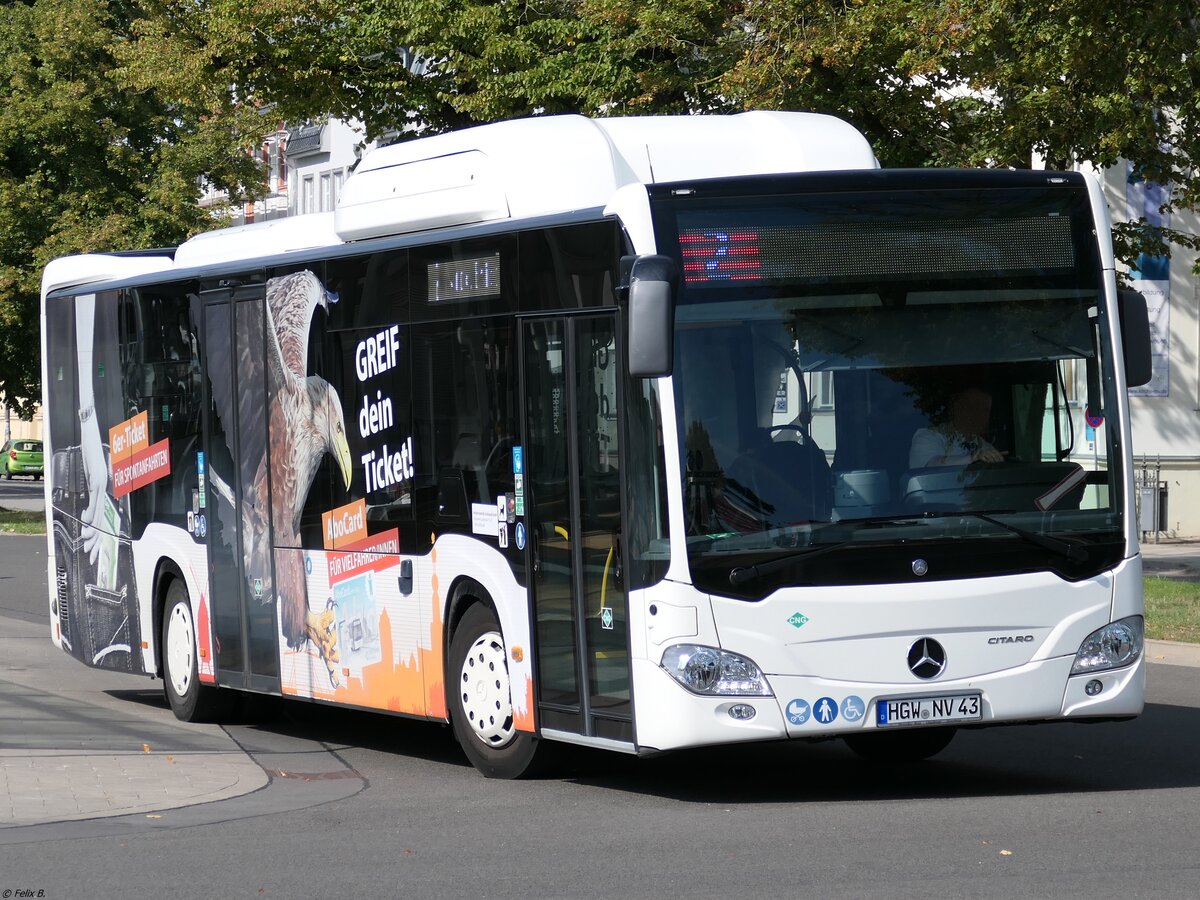 Mercedes Citaro III NGT der Stadtwerke Greifswald in Greifswald.