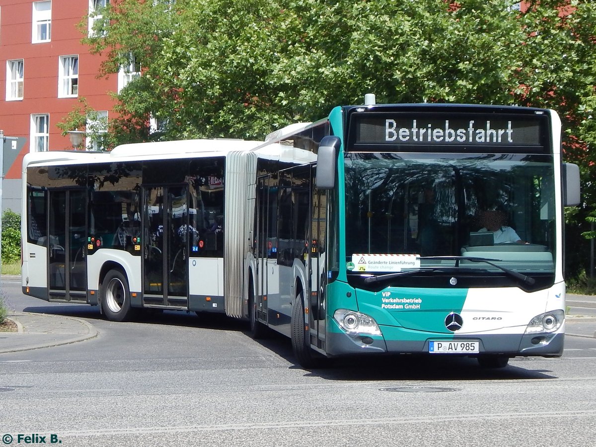 Mercedes Citaro III vom Verkehrsbetrieb Potsdam in Potsdam.