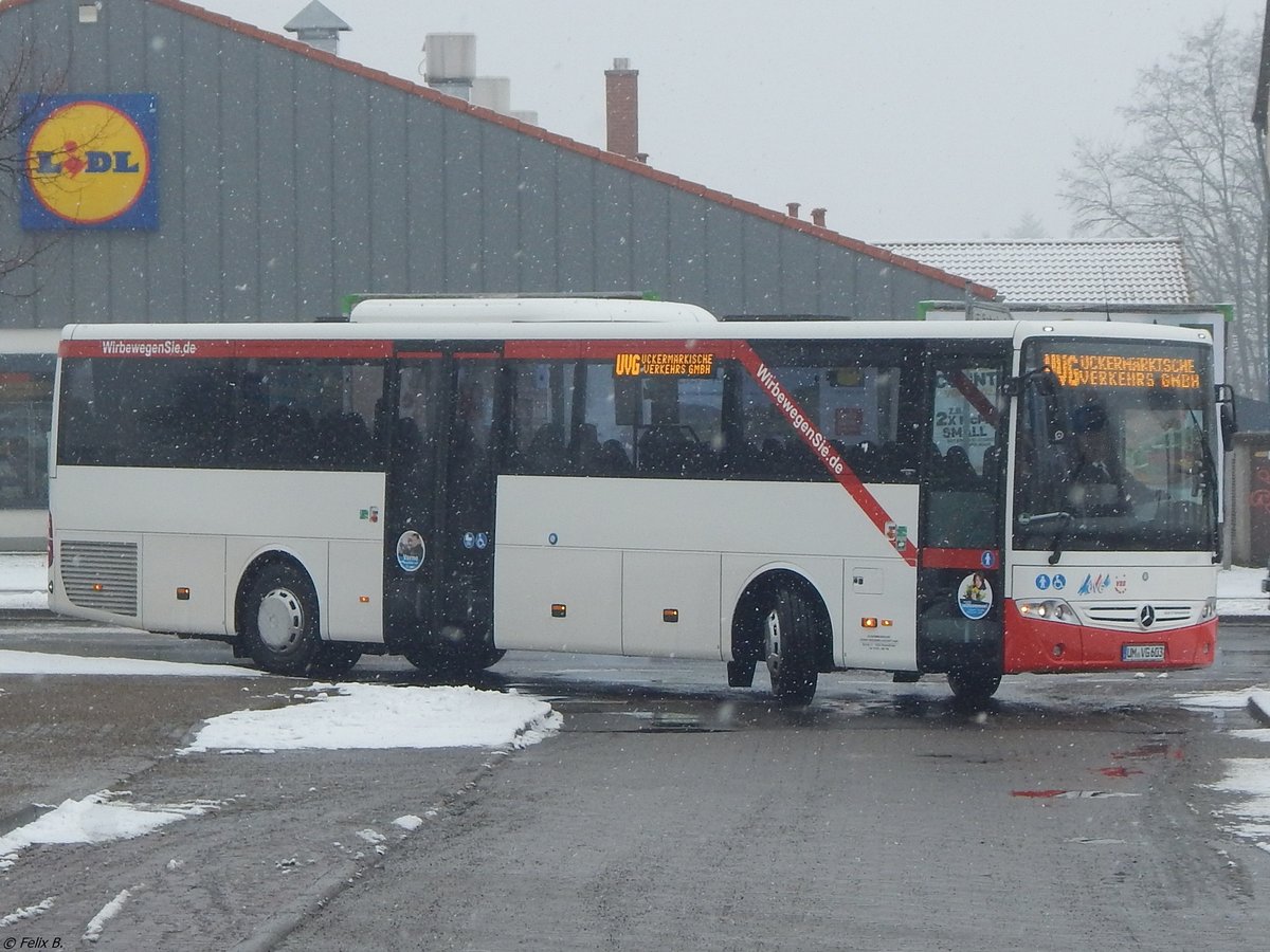 Mercedes Intouro der Uckermärkische Verkehrs GmbH in Prenzlau.