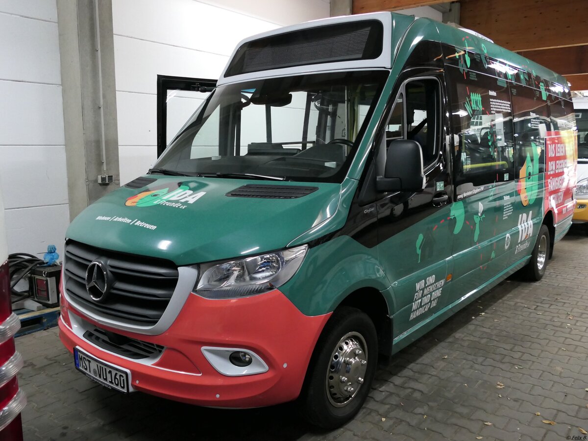 Mercedes Sprinter von Unger aus Deutschland in Neustrelitz.