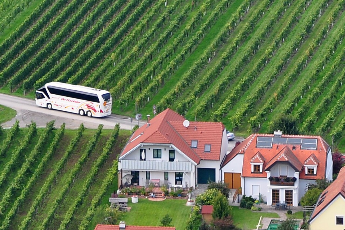 Neoplan Starliner von Elsetaler Reisen aus der BRD hier in Loiben in der Wachau zwischen Krems und Drnstein / Wachau,linkes Ufer unterwegs.12.9.2014,Aufnahme vom anderen Donauufer auf der Ferdinandswarte aus gemacht!