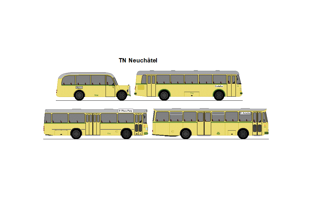 TN Neuchtel - Saurer Car Alpin + Saurer/Hess B 51 U + MAN 640 HO 1 + FBW/R&J 50U55L