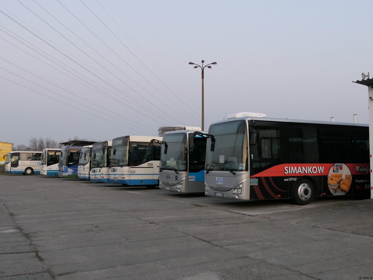 Verschiedene Busse der MVVG in Neubrandenburg.