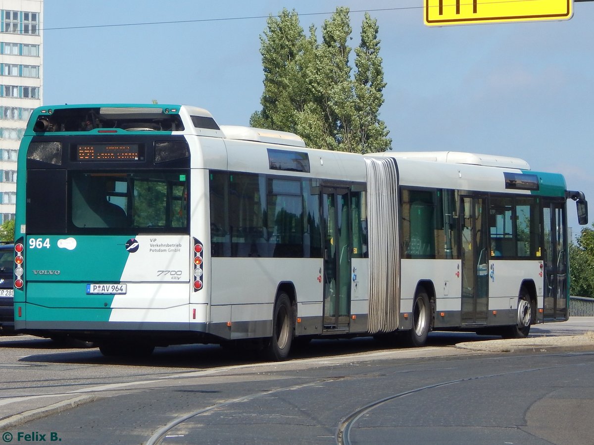 Volvo 7700 vom Verkehrsbetrieb Potsdam in Potsdam.