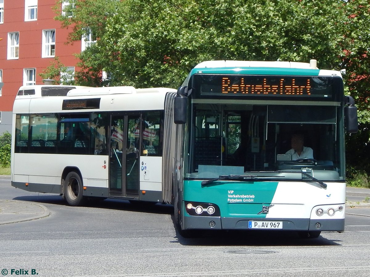 Volvo 7700 vom Verkehrsbetrieb Potsdam in Potsdam.