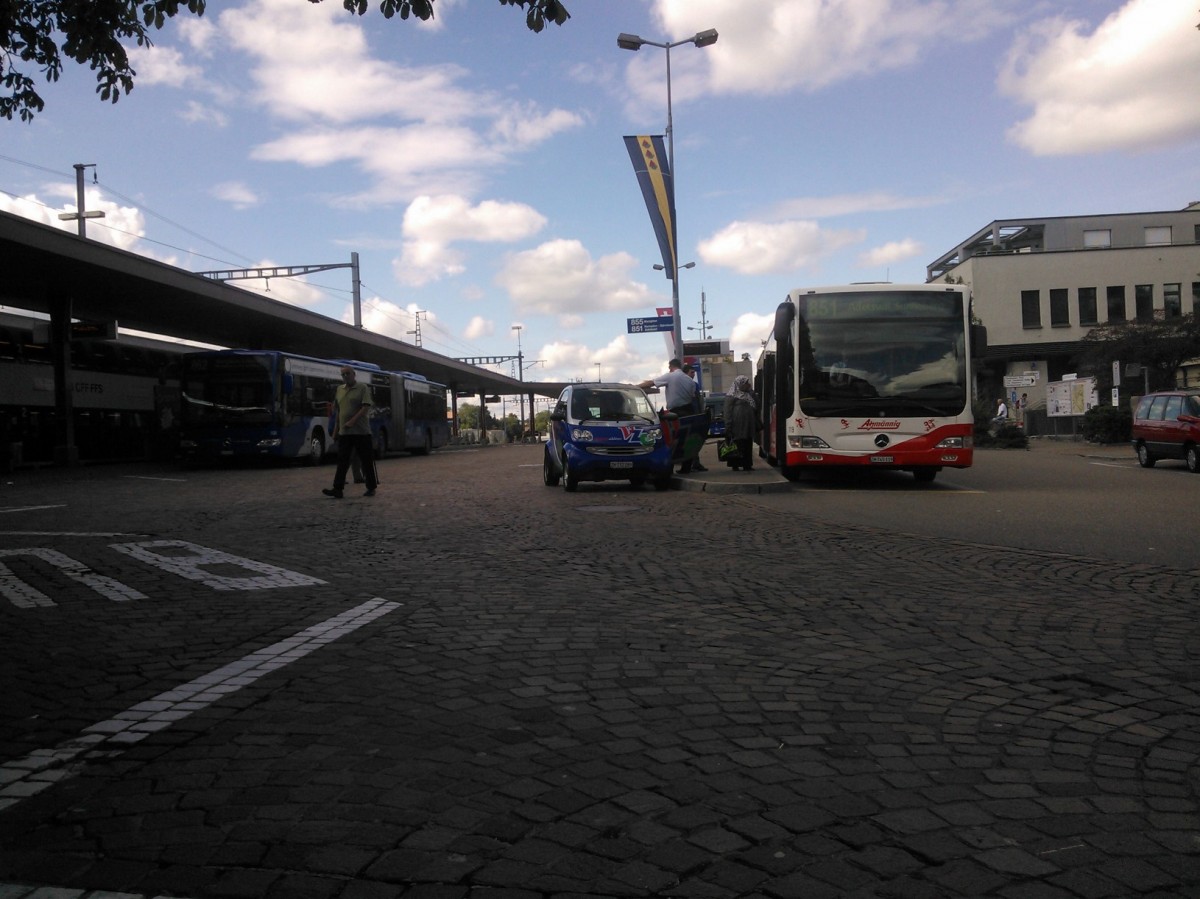 VZO-Mercedes Citaro NR.108 und NR.119 * Atzmnnig * Baujahr 2008 am Bahnhof Wetzikon am 17.8.13. 