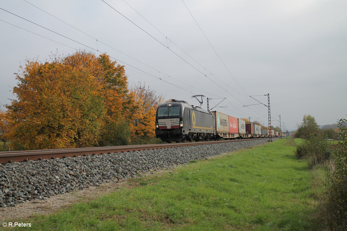 X4E 612 alias 193 612 zieht mit einem Containerzug in Richtung Nordn bei Thüngersheim. 27.10.24