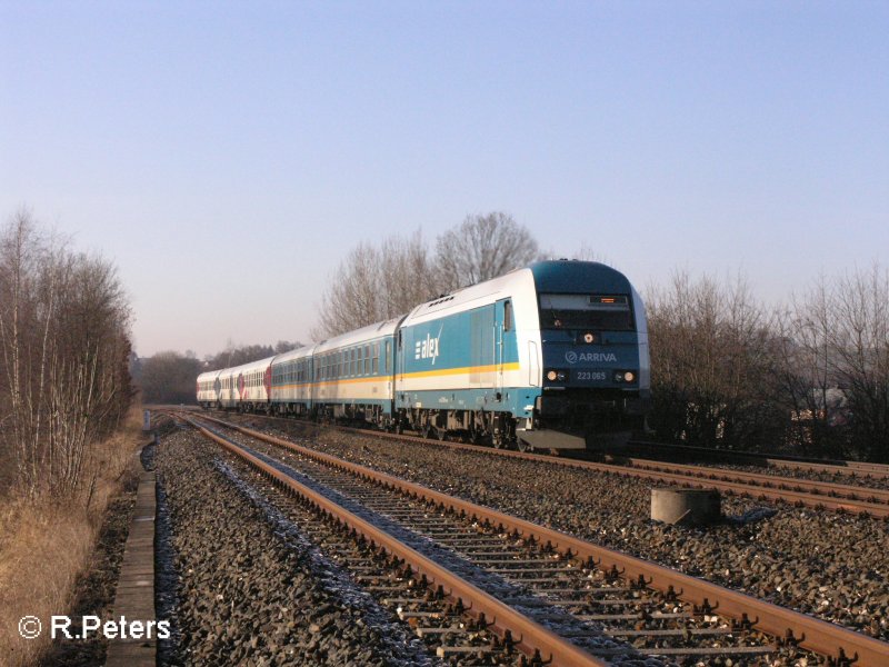 223 065 zieht bei Sch�nfeld ein Alex nach Hof. 11.02.08