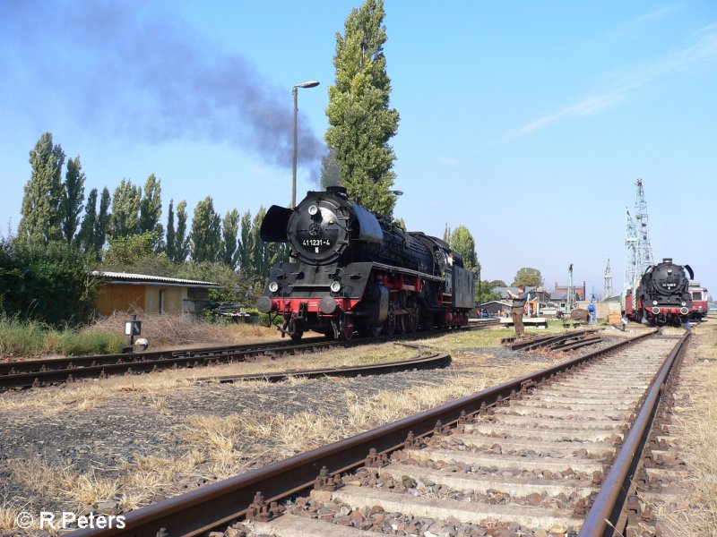 41 1231 rollt bei den F�rherstandsmitfahrten und 44 1486 steht schon in den Startl�chern.