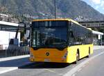 andorra-la-vella/864316/267286---coopalsa-andorra-la-vella (267'286) - Coopalsa, Andorra la Vella - P6226 - Mercedes am 19. September 2024 in Andorra la Vella, Estaci Nacional Autobusos