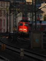 110 444-7 erhascht noch einen Sonnenstrahl auf dem Weg zum Hauptbahnhof Frankfurt.