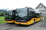 Nesslau/891546/278021---postauto-ostschweiz---pid (278'021) - PostAuto Ostschweiz - PID 12'201 - eMercedes am 25. Juli 2025 in Nesslau, Altherr