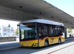 Arbon/887915/276863---eurobus-arbon---nr (276'863) - Eurobus, Arbon - Nr. 19/TG 18'880/PID 11'795 - eSolaris (ex Mattli, Wassen; ex PostAuto Bern BE 90'275; ex PostAuto Bern BE 610'546) am 17. Juni 2025 in Arbon, Bushof