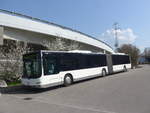 (224'751) - Interbus, Yverdon - Nr. 204 - MAN (ex St. Gallerbus, St. Gallen Nr. 297) am 2. April 2021 in Kerzers, Interbus